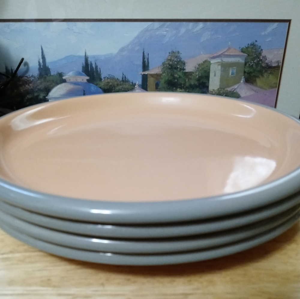 🗻🏯 4 🆕 VINTAGE FINE JAPANESE🍜🍱🇯🇵PLATES OVEN TO TABLE.🍝🍛🍵☕ - Picture 11 of 12